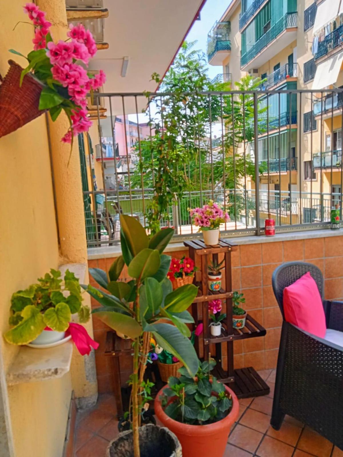 포르티코 디 로마냐 La Terrazza Di Monica & Teresa B&B 외부 사진